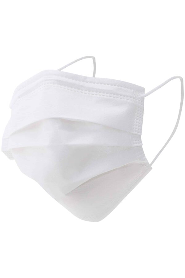 61SnQftWzEL Valge näomask 10 tk
