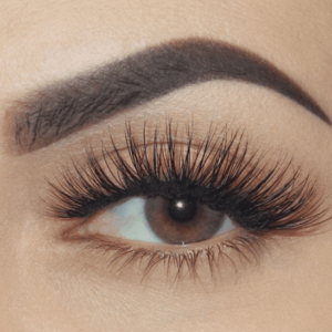 Brows Lash Velvet ripsmete ja kulmude koolitus + stardikomplekt